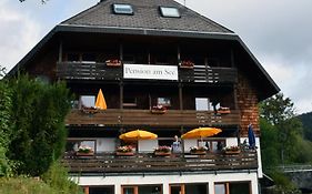 Pension Am See